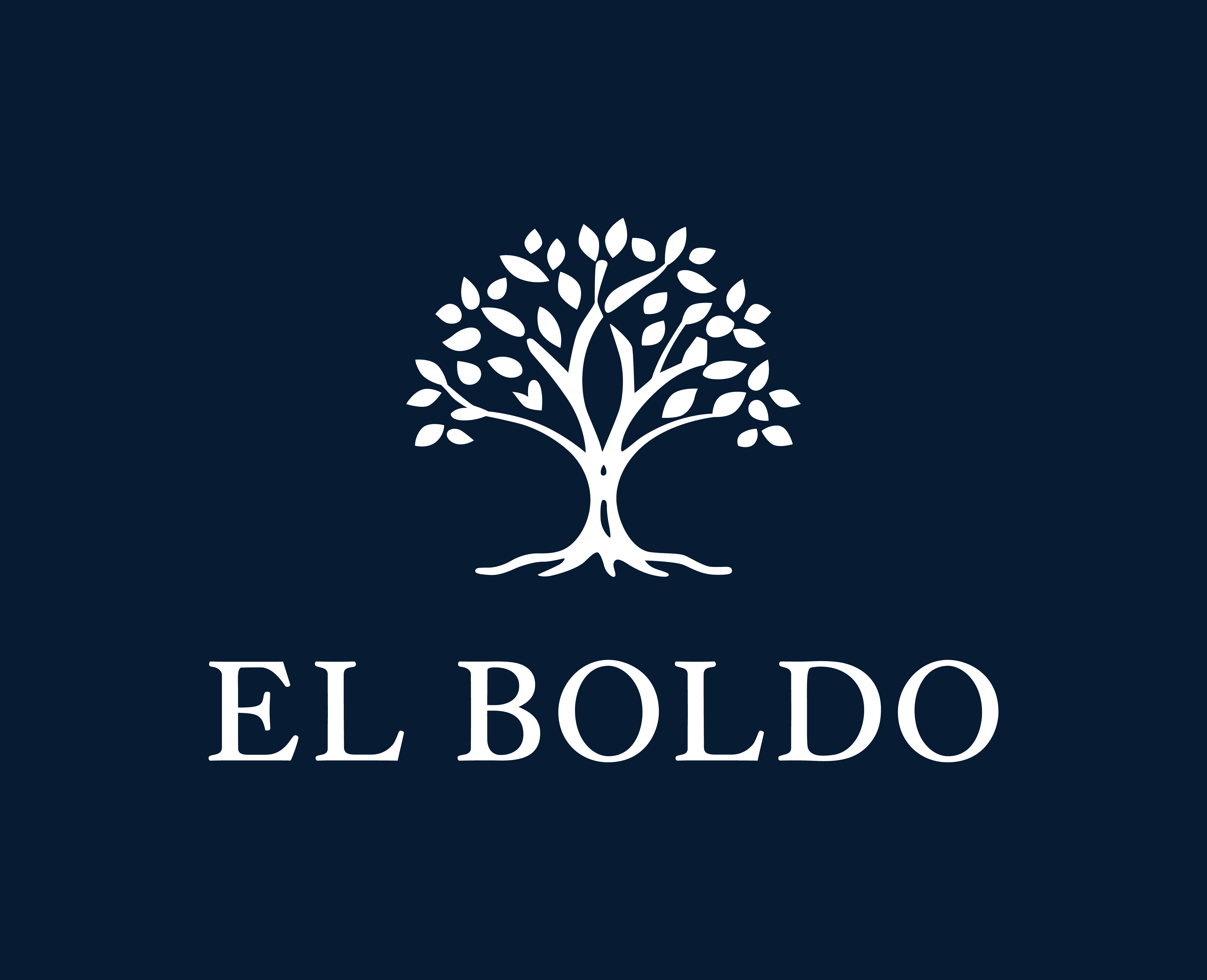 Logo Loteo El Boldo